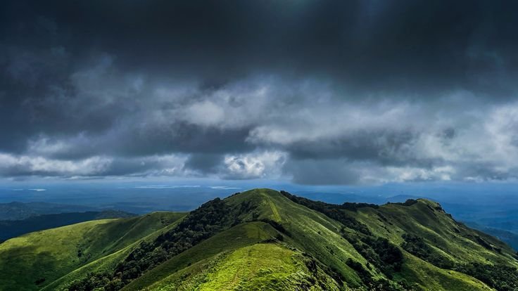 Wayanad Nature & Heritage Escape