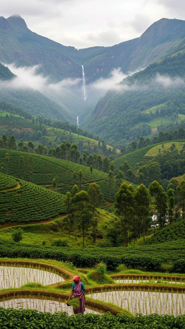 Coorg & Ooty – Misty Mountains & Romantic Retreat
