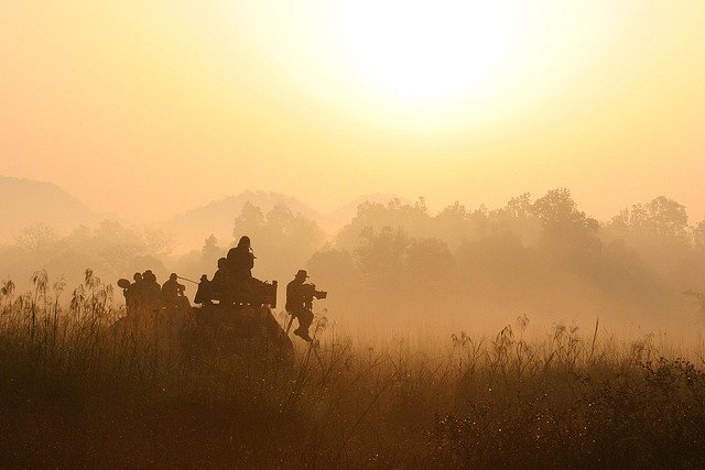 Bandhavgarh Wilderness Discovery Tour