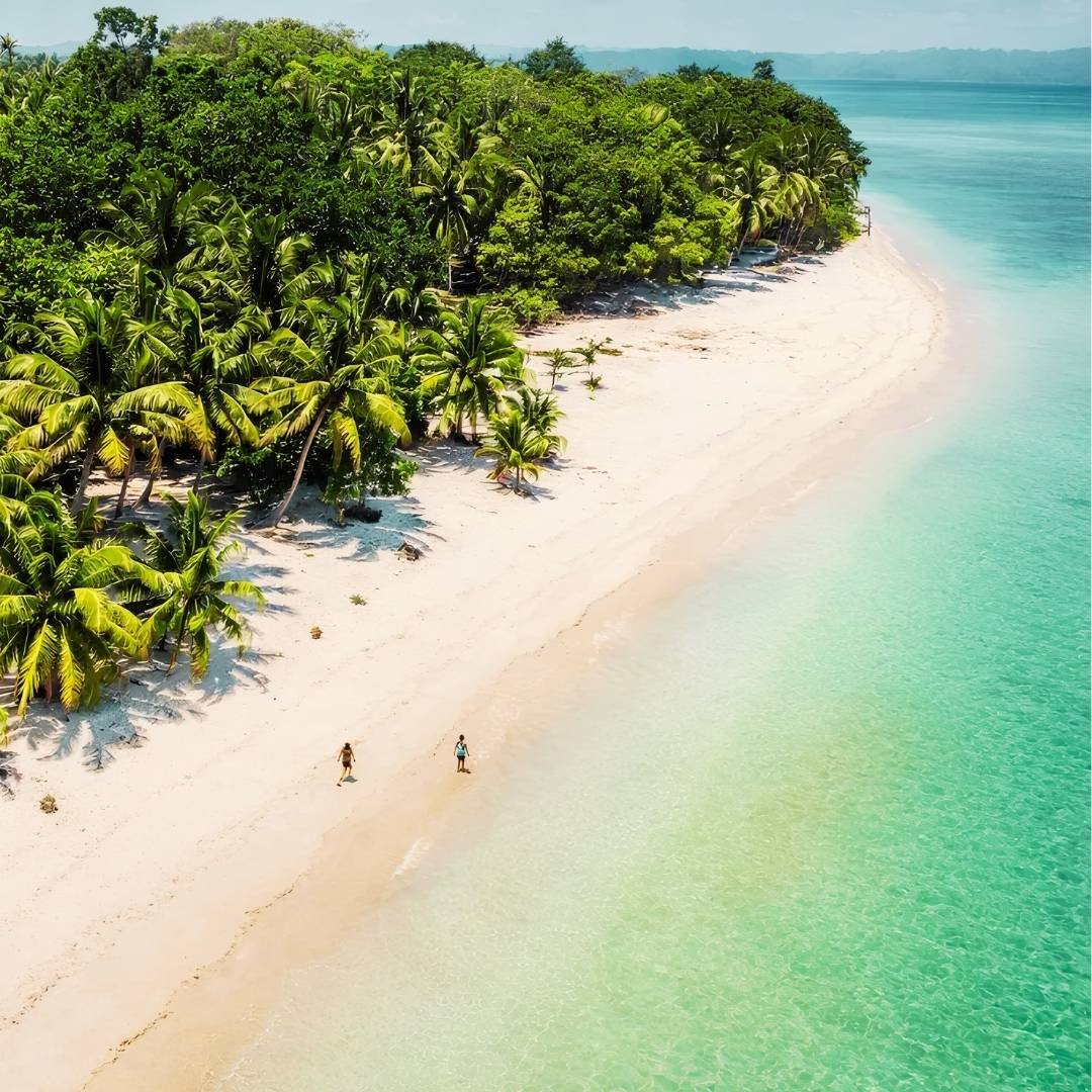 Island Expedition
