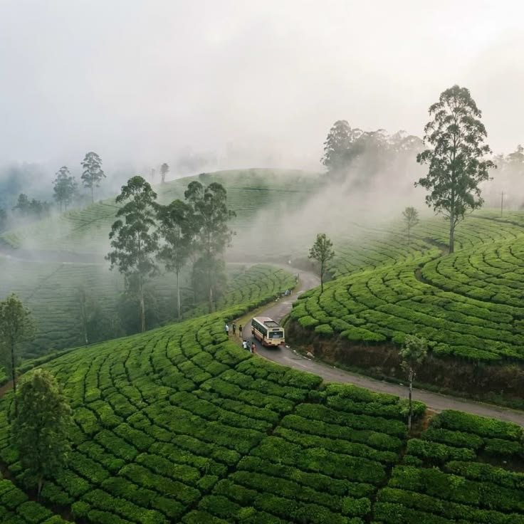 Tamil Nadu Discovery - 6 Nights / 7 Days Tamil Nadu & Kerala tour package