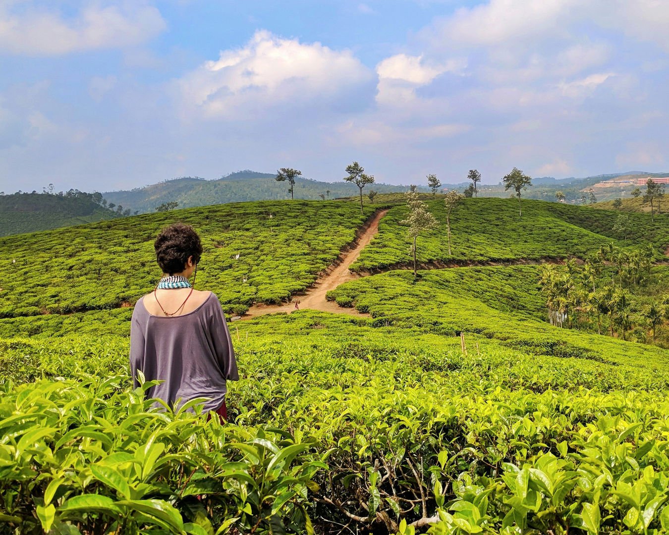 Kerala Explorer