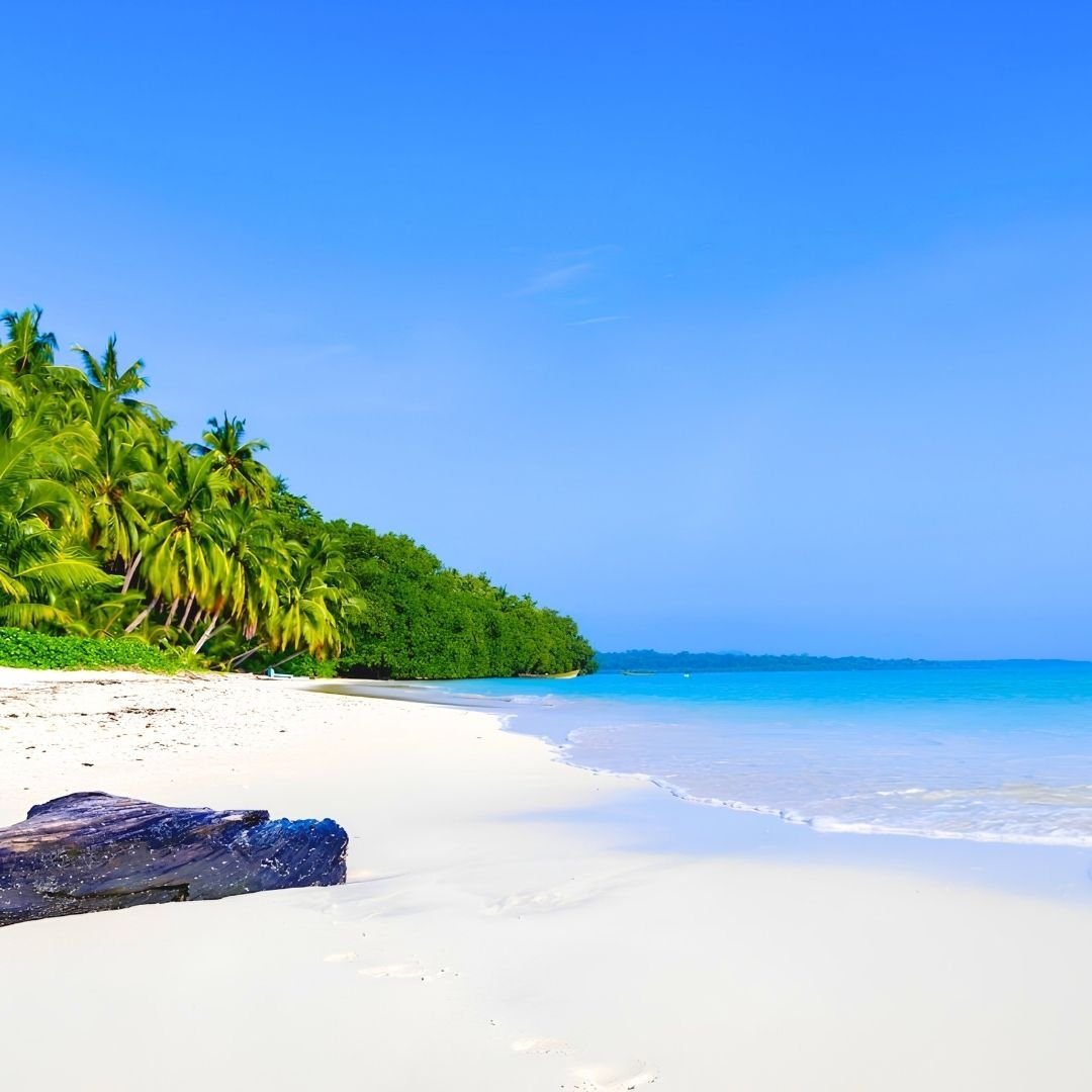 Splendid Andaman