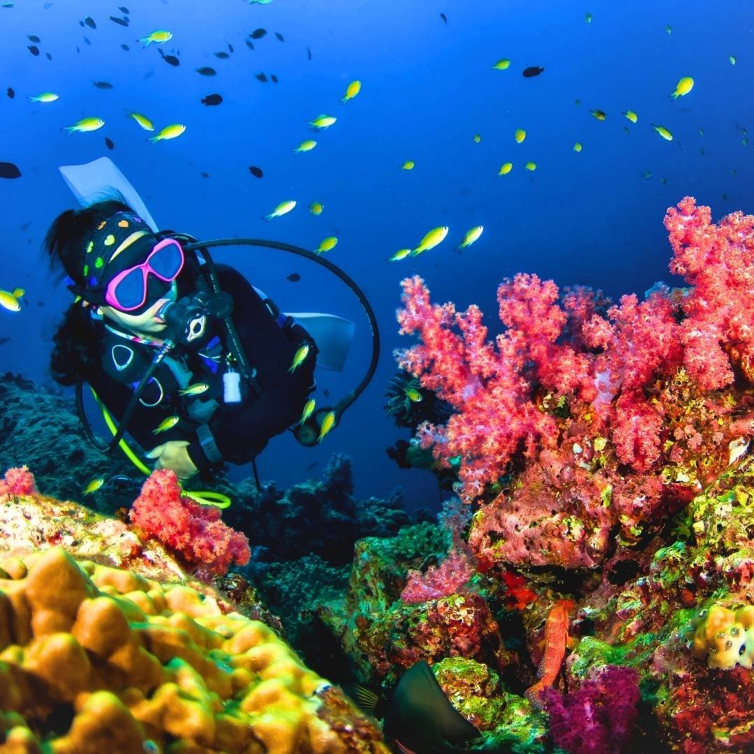 Andaman Delight