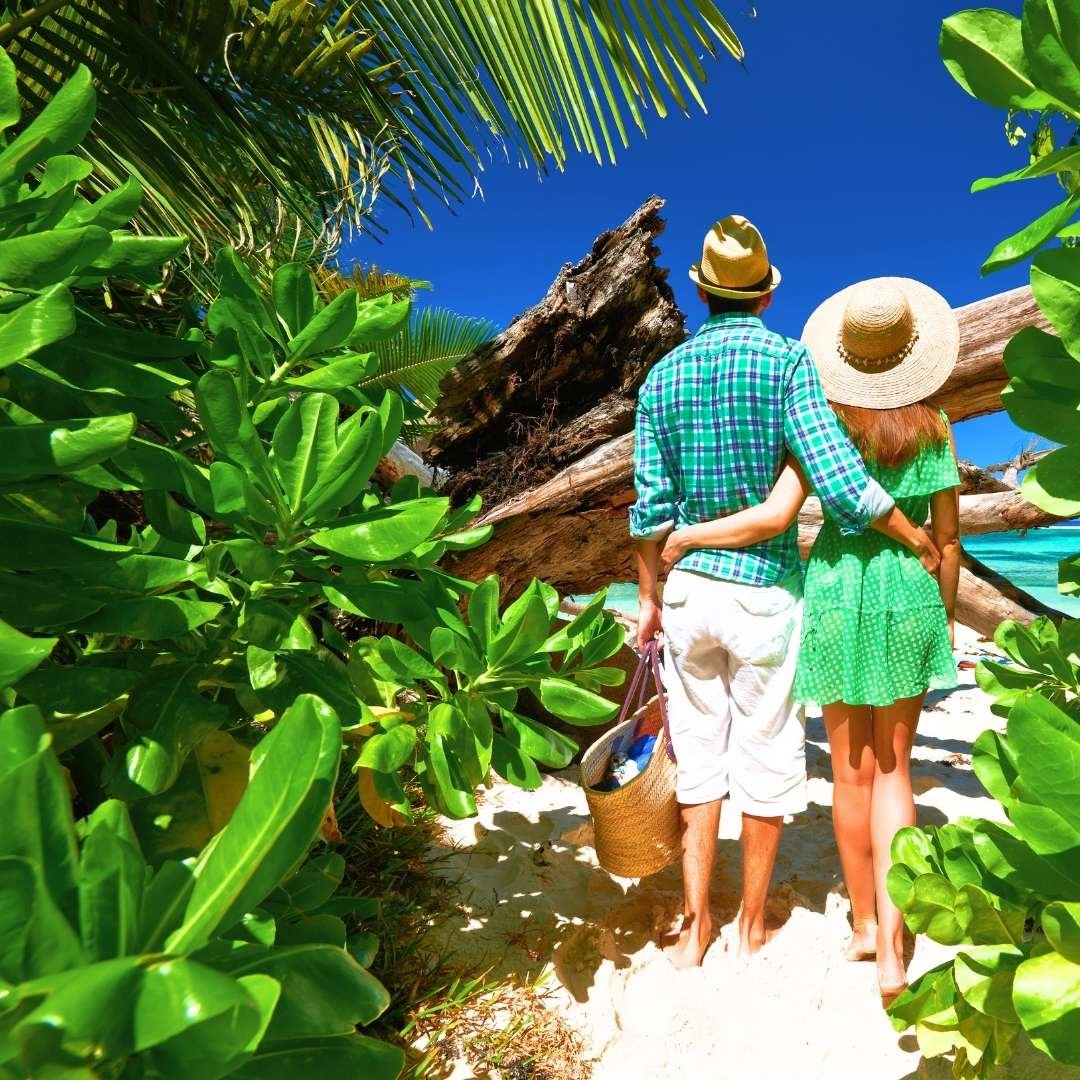 Island Expedition